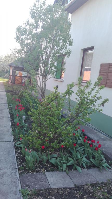 Hajdúszoboszló Plajbi Apartment מראה חיצוני תמונה